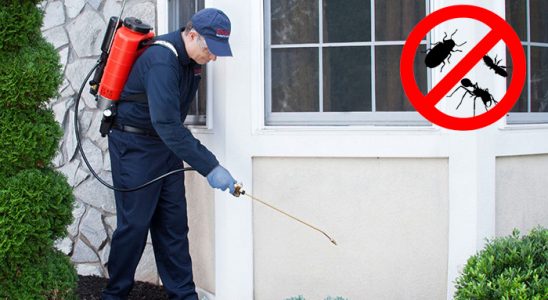Küre Akrep İlaçlama böcek ilaçlama ve haşere kontrolü — ilaclama-tr.com